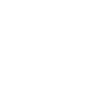 Custom Website